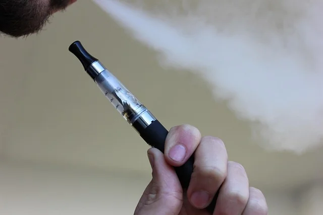 disposable vape brands - Professional Guide and Review