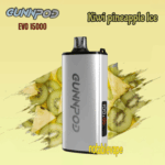 vape shop online - Professional Guide and Review